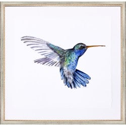 CD Hummingbird 1 22x22