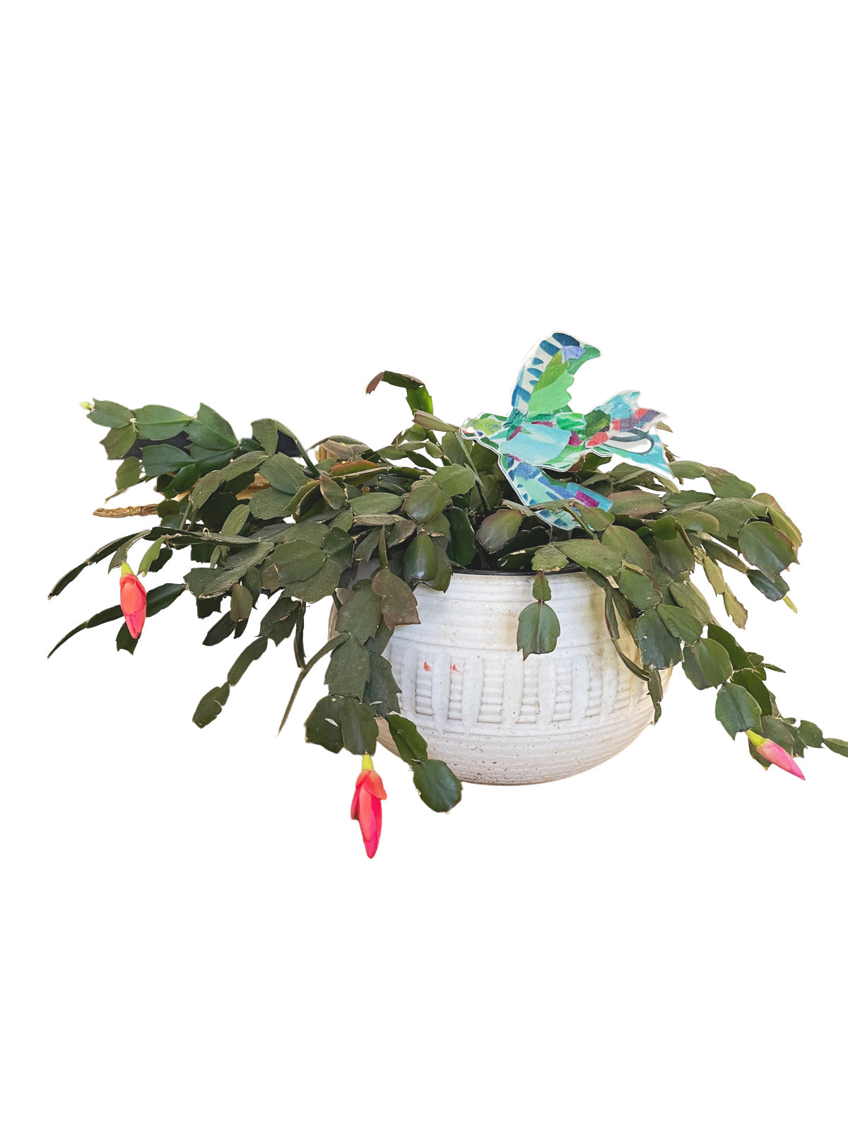 Green Bird Plant Stick