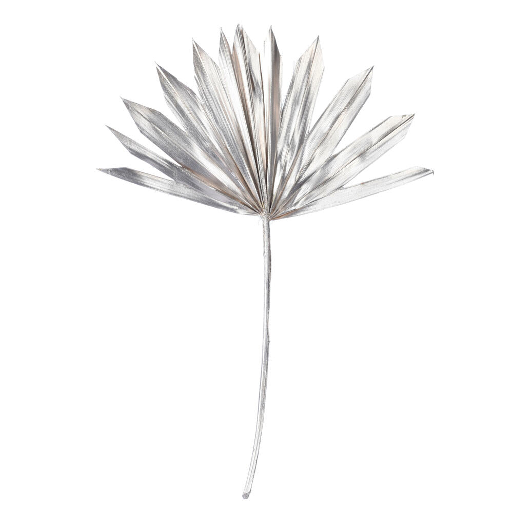 Vickerman Natural Botanicals 13.75 - 19.5" Metallic Champagne Dried Palm Sun Spear