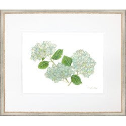 HYDRANGEA 1 26 X 22