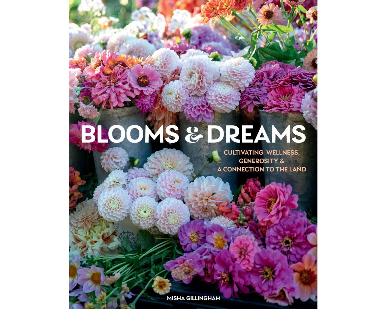 Blooms & Dreams